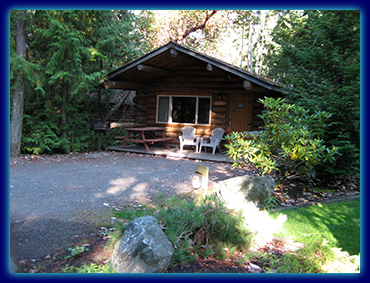 a cabin lodge in the idyllic forest