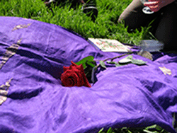 celtic rose on purple cloth